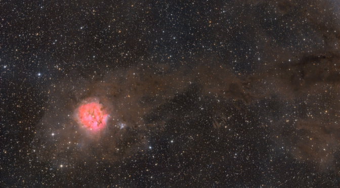 IC 5146, o Nebulosa del Capullo